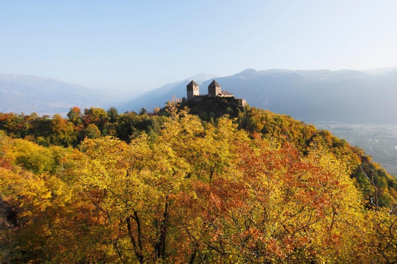 Panoramic Suites Winzerhoehe Scena Exterior foto
